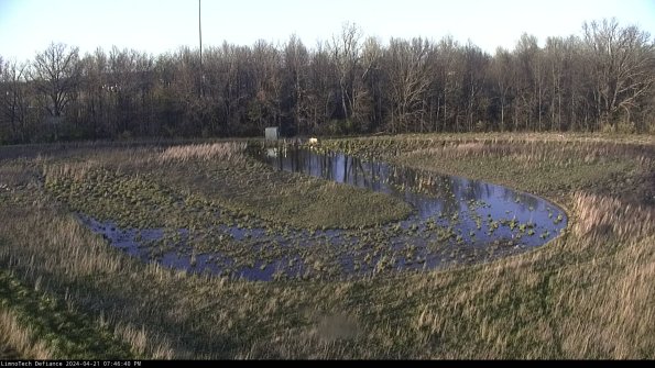 Cell 4_24-04-21_19-46-41-32