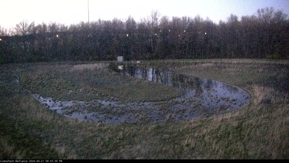 Cell 4_24-04-21_20-53-39-34