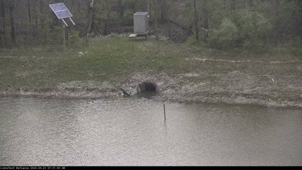 Basin Inflow_24-04-23_07-31-03-52