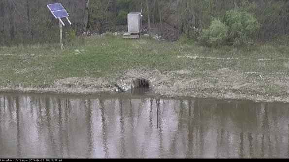 Basin Inflow_24-04-23_10-18-30-34