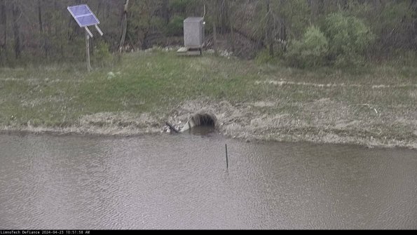 Basin Inflow_24-04-23_10-51-58-49