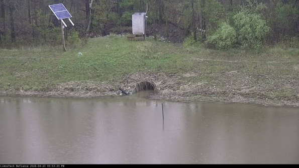 Basin Inflow_24-04-23_15-53-23-44