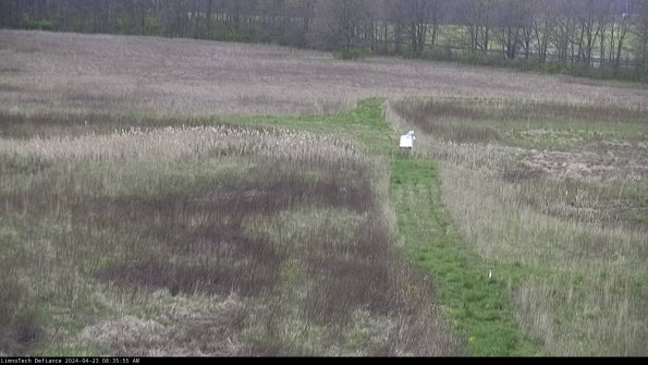 Cell 1 to 2_24-04-23_08-35-56-33