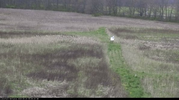 Cell 1 to 2_24-04-23_09-09-26-32