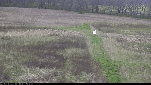 Cell 1 to 2_24-04-23_10-16-24-31