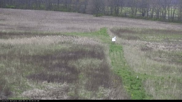 Cell 1 to 2_24-04-23_10-49-54-34