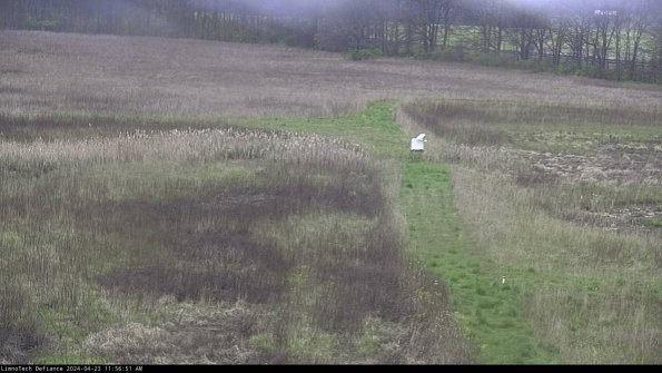 Cell 1 to 2_24-04-23_11-56-52-34