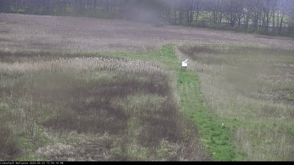 Cell 1 to 2_24-04-23_12-30-20-31