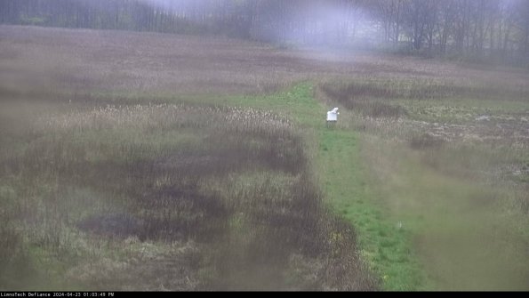 Cell 1 to 2_24-04-23_13-03-50-31