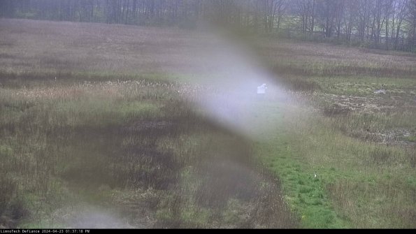 Cell 1 to 2_24-04-23_13-37-19-31