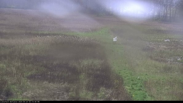 Cell 1 to 2_24-04-23_14-10-49-33