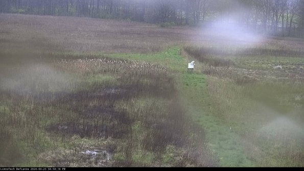 Cell 1 to 2_24-04-23_16-58-17-35