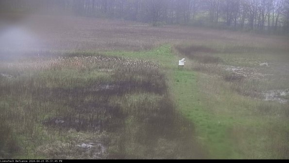 Cell 1 to 2_24-04-23_17-31-46-33