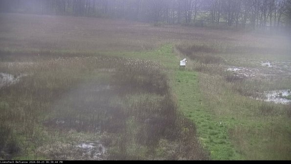 Cell 1 to 2_24-04-23_18-38-45-33