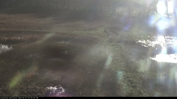 Cell 1 to 2_24-04-23_19-45-44-33