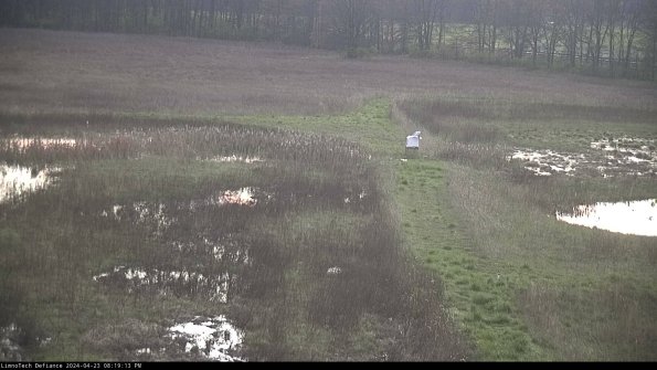 Cell 1 to 2_24-04-23_20-19-14-34