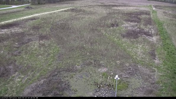 Cell 1_24-04-23_07-28-44-32