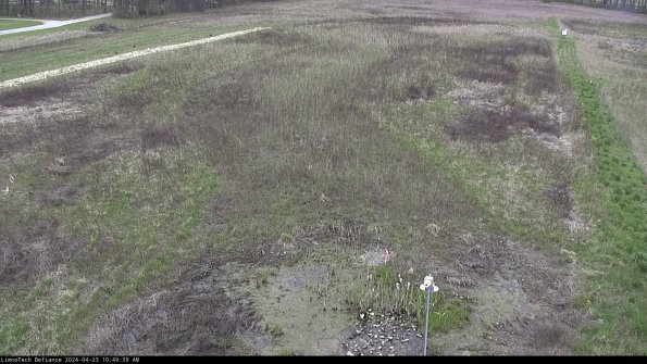 Cell 1_24-04-23_10-49-40-32