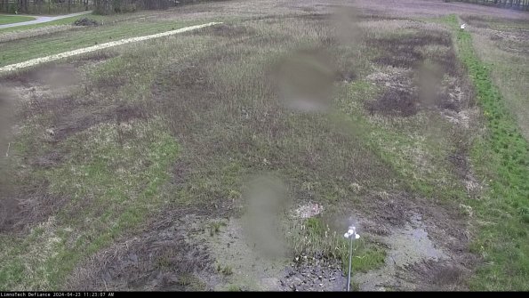 Cell 1_24-04-23_11-23-08-33