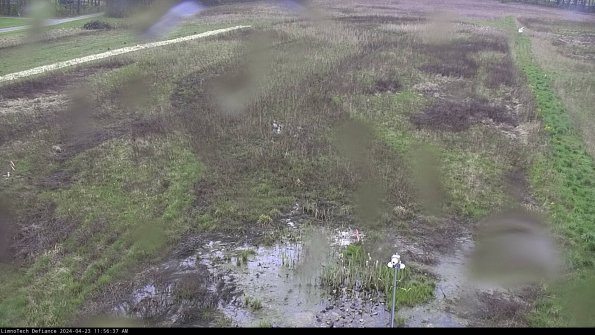 Cell 1_24-04-23_11-56-38-33