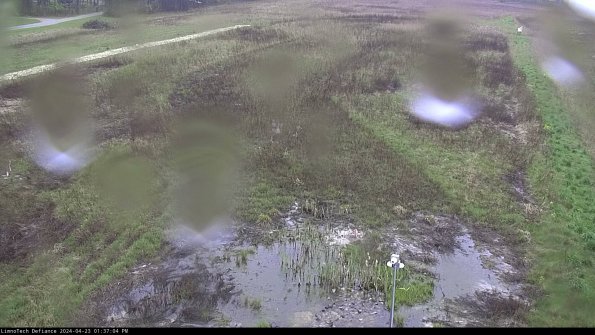 Cell 1_24-04-23_13-37-05-33