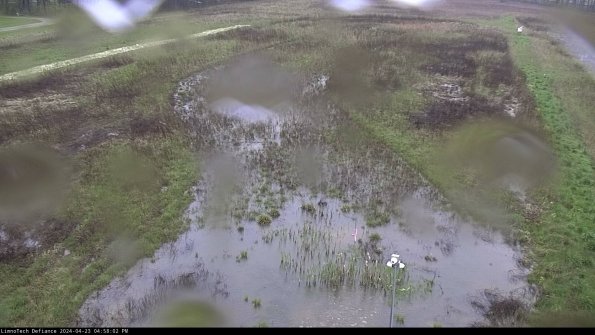 Cell 1_24-04-23_16-58-03-33