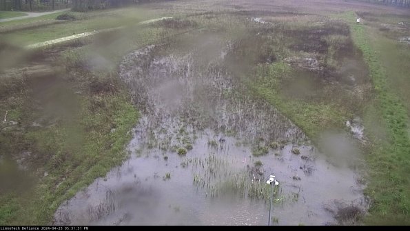 Cell 1_24-04-23_17-31-32-31