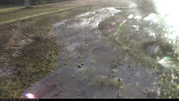 Cell 1_24-04-23_19-45-30-35