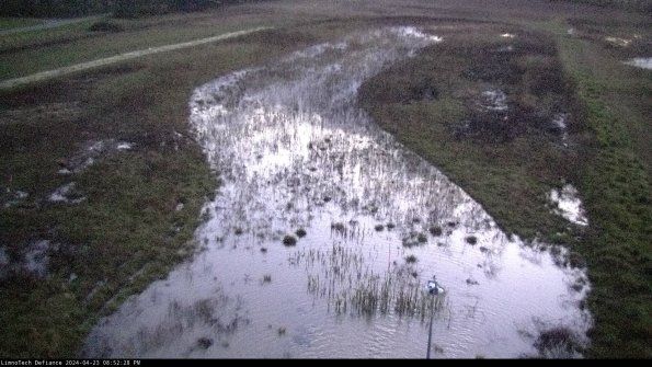 Cell 1_24-04-23_20-52-29-35