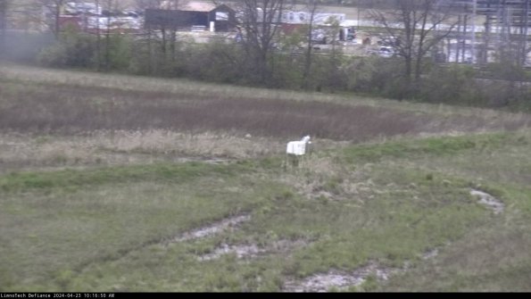 Cell 2 to 3_24-04-23_10-16-50-54