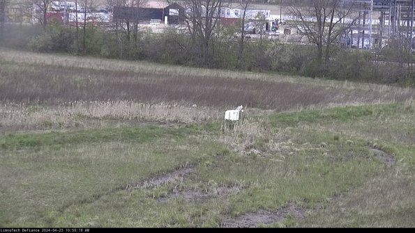 Cell 2 to 3_24-04-23_10-50-20-43