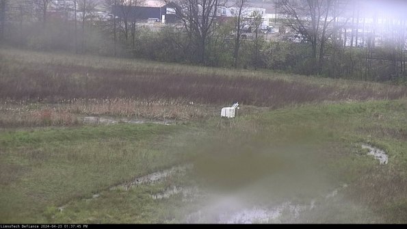 Cell 2 to 3_24-04-23_13-37-45-57