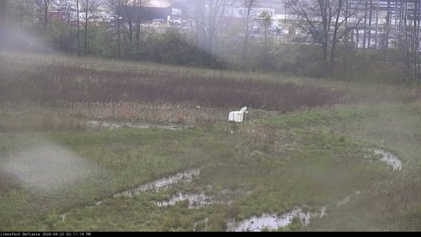 Cell 2 to 3_24-04-23_14-11-15-42