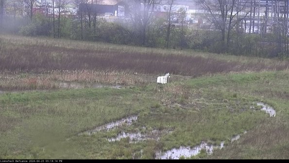 Cell 2 to 3_24-04-23_15-18-14-46