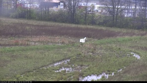 Cell 2 to 3_24-04-23_15-51-44-37