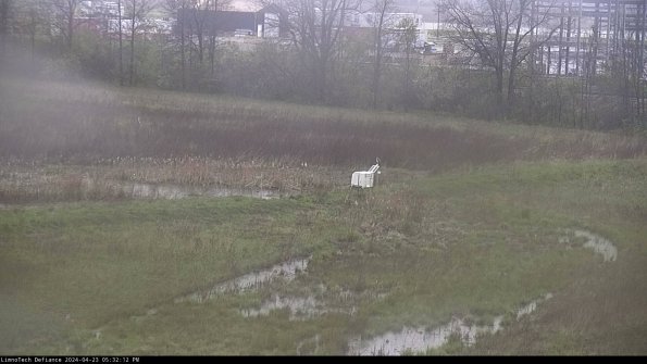 Cell 2 to 3_24-04-23_17-32-12-49