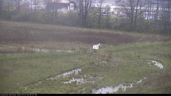 Cell 2 to 3_24-04-23_18-05-41-54