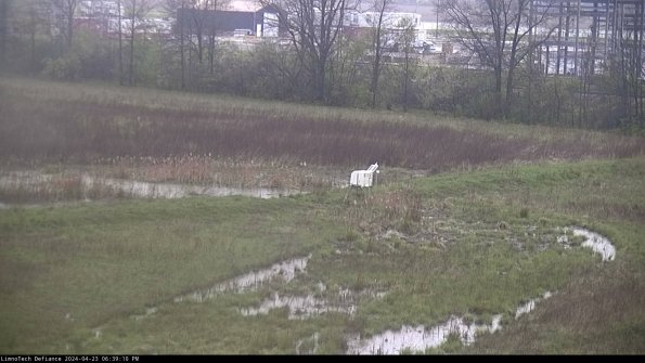 Cell 2 to 3_24-04-23_18-39-11-42