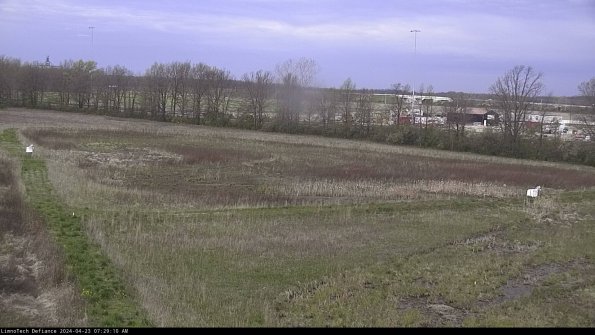 Cell 2_24-04-23_07-29-11-34