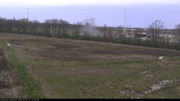 Cell 2_24-04-23_10-16-37-39