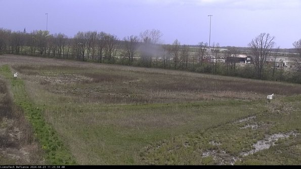 Cell 2_24-04-23_11-23-35-39