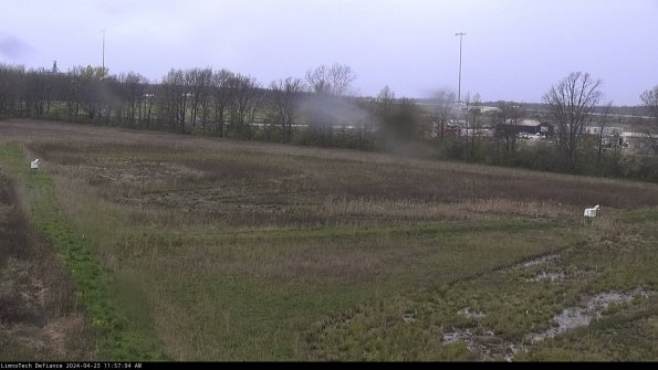 Cell 2_24-04-23_11-57-05-32