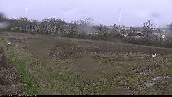 Cell 2_24-04-23_12-30-33-39