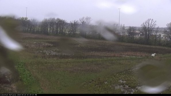 Cell 2_24-04-23_13-37-32-39