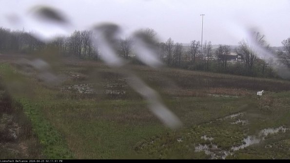 Cell 2_24-04-23_14-11-02-38