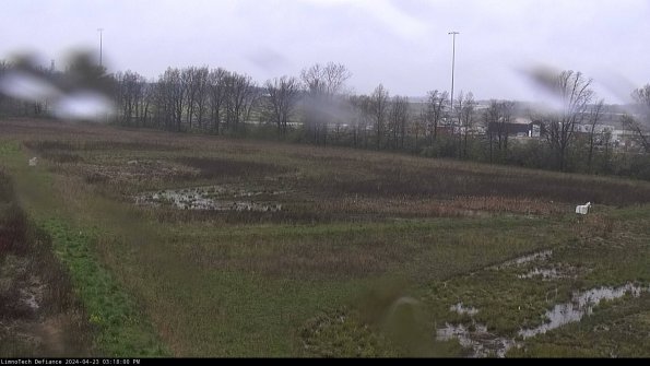 Cell 2_24-04-23_15-18-01-35