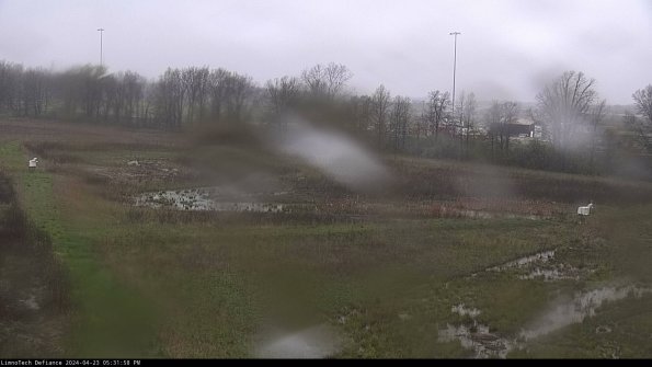 Cell 2_24-04-23_17-31-59-37