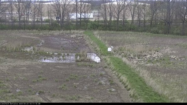 Cell 3 to 4_24-04-23_10-17-19-33