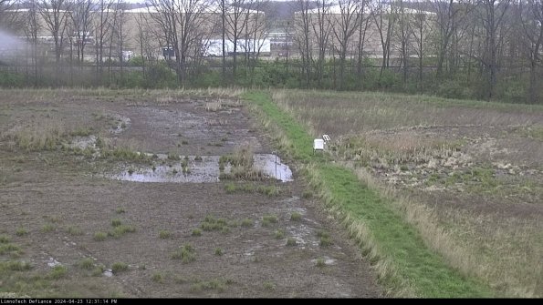 Cell 3 to 4_24-04-23_12-31-15-30