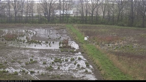 Cell 3 to 4_24-04-23_16-25-43-32